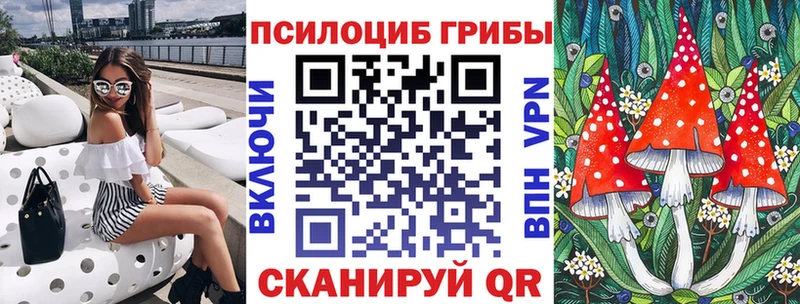 Купить  Балахна  Псилоцибиновые грибы Psilocybe 
